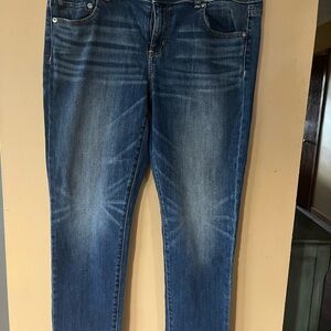 American Eagle Artist Skinny Jeans